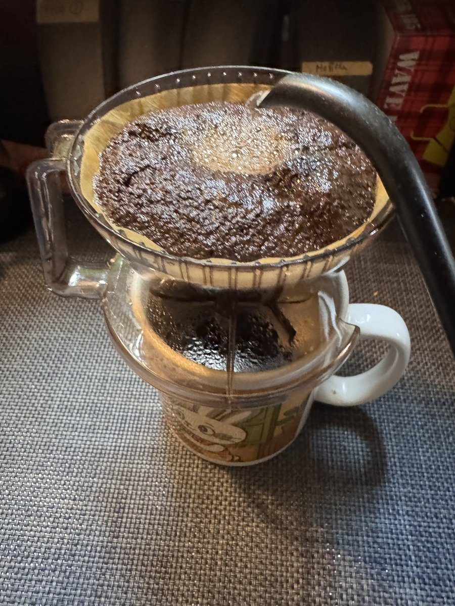 たれのすけ珈琲焙煎所&DTM（Rosea Luna🧊💭🐱🐣） tweet media