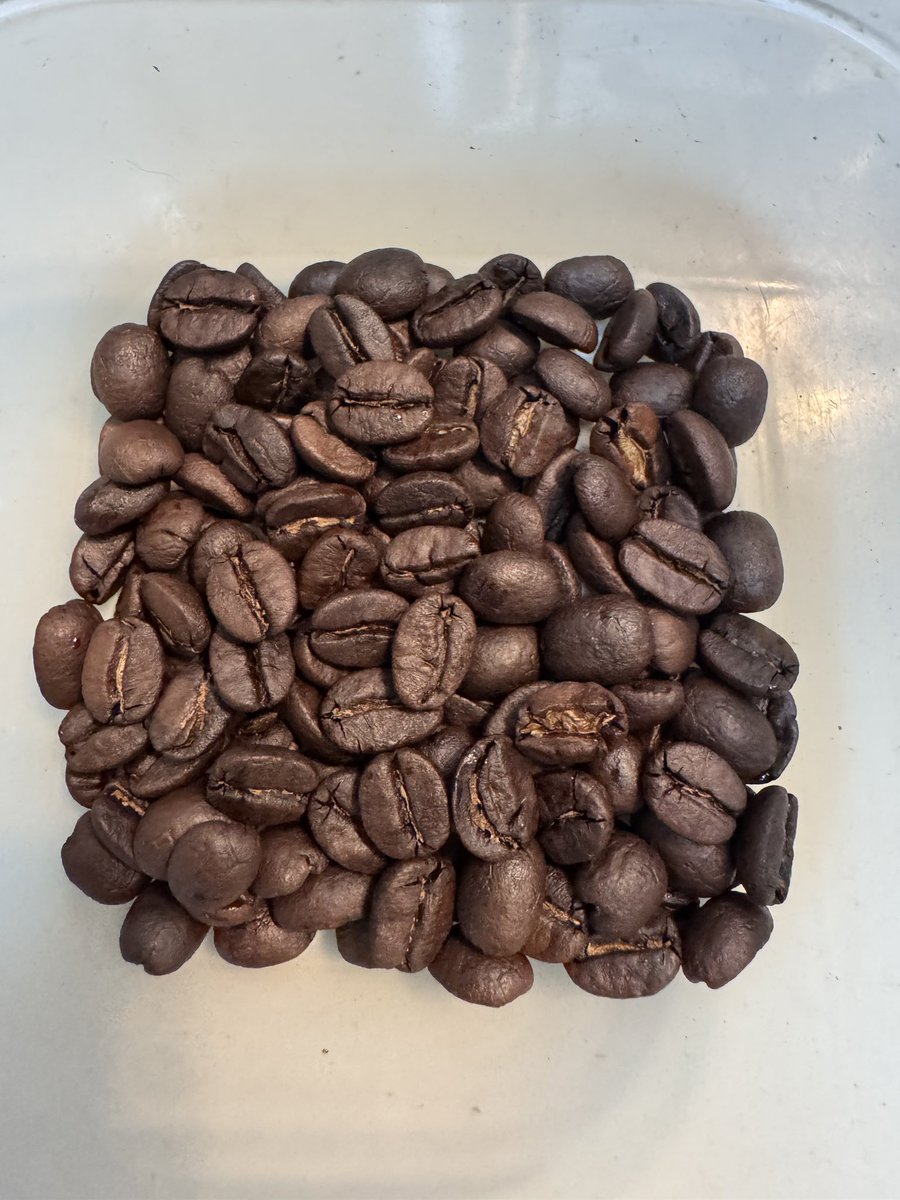 たれのすけ珈琲焙煎所&DTM（Rosea Luna🧊💭🐱🐣） tweet media