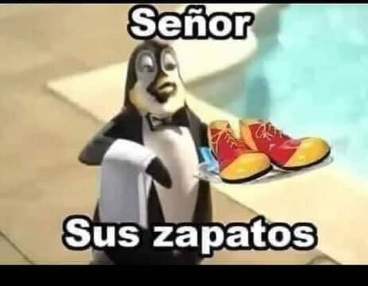 chayote777's tweet photo. @VicenteFoxQue https://t.co/zmxBBqd7gn