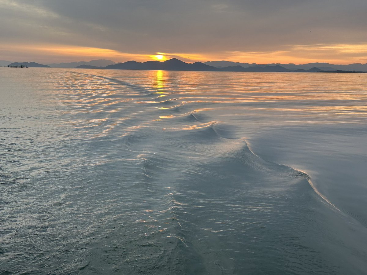 美濃のおっさん～ tweet media