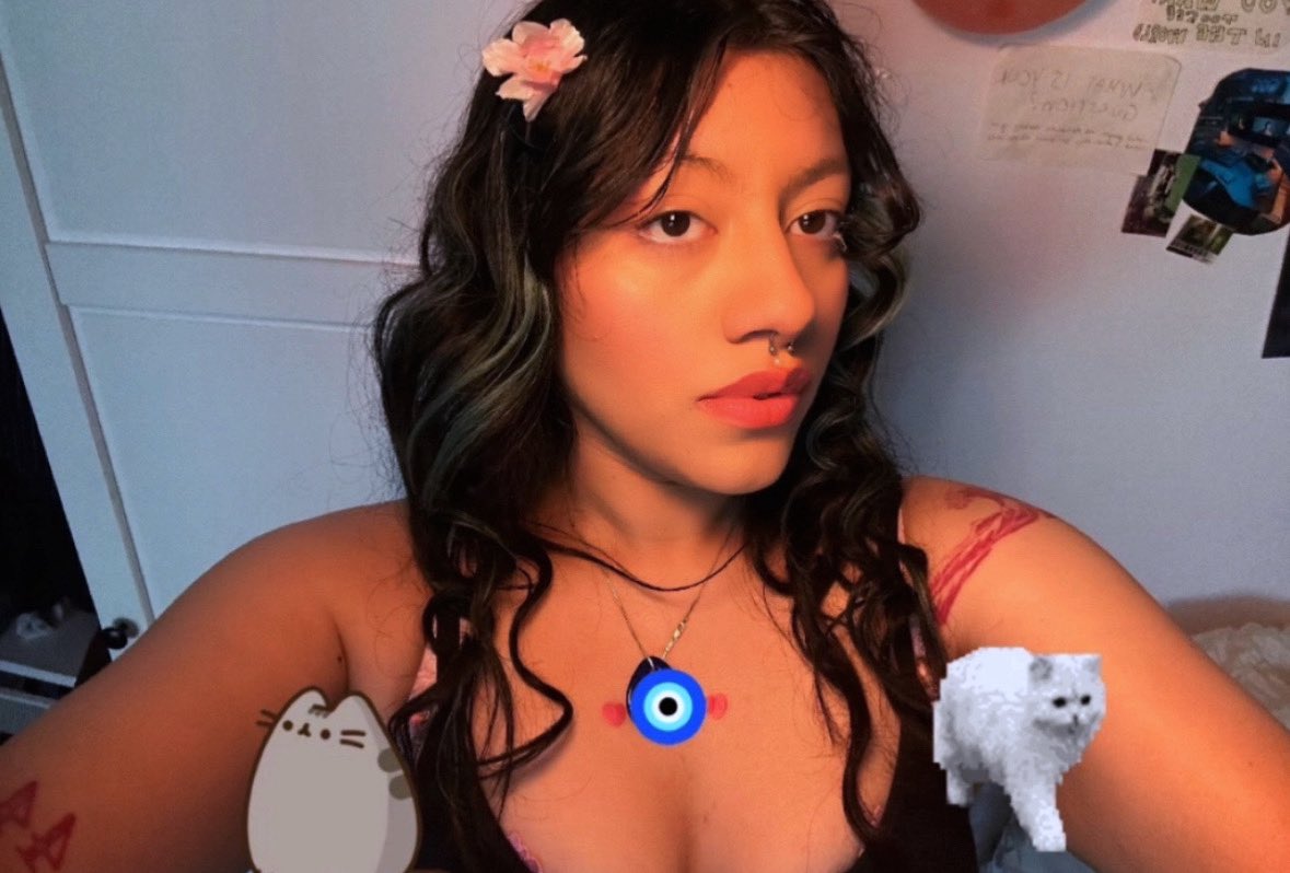 kitten 🐾 tweet media