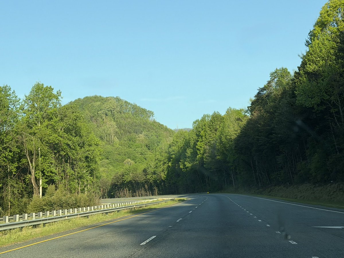 BBApplehoney🐝🍎🍯 tweet media