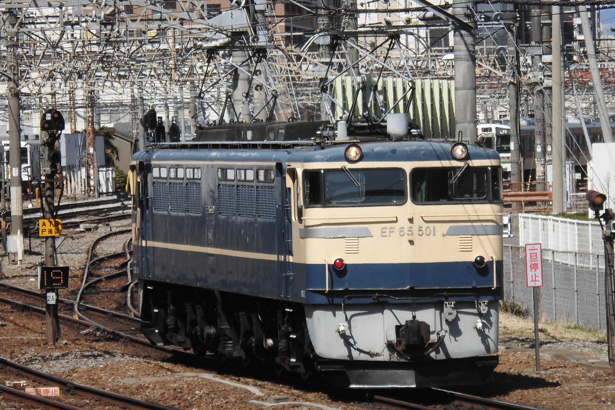 梅ぼし tweet media