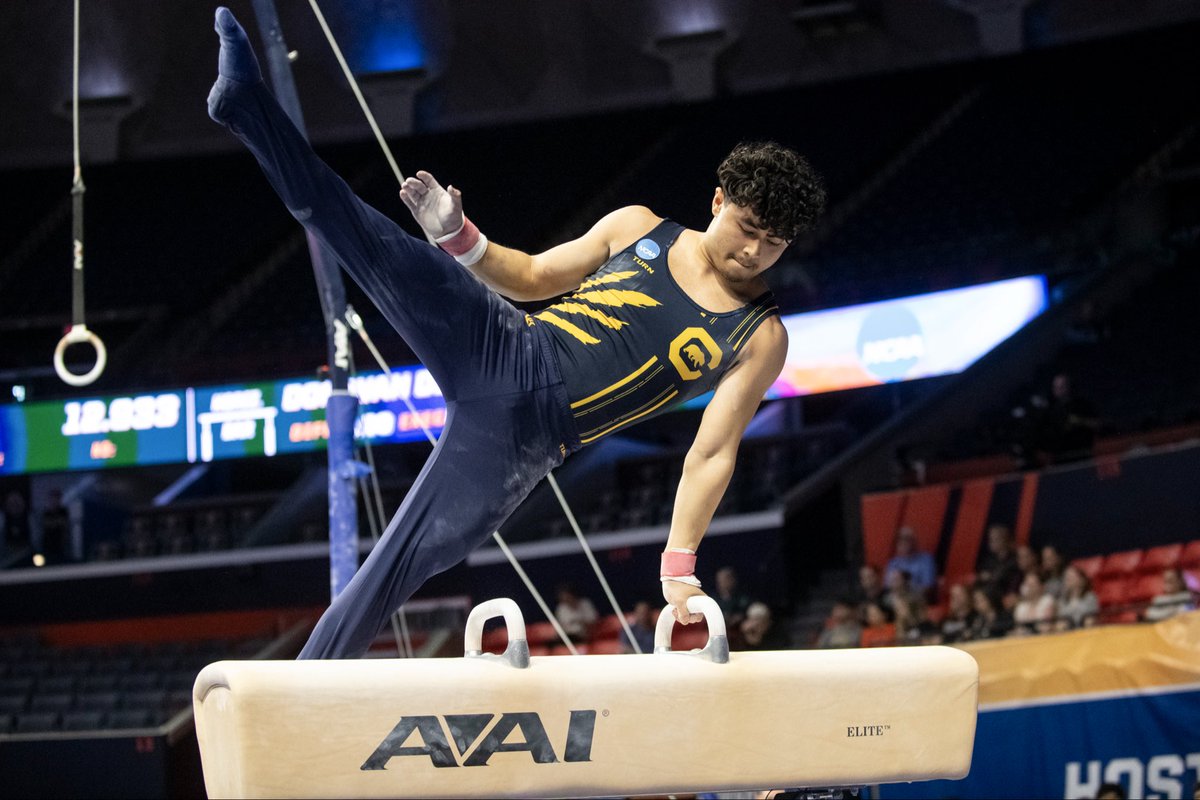CalMGym's tweet photo. Rotation 3 Scores:

Bardana (FX): 13.366
Smith-Gordon (PH): 13.566
Underhill (SR): 13.033

#GoBears🐻 https://t.co/ZBfRnw0cta