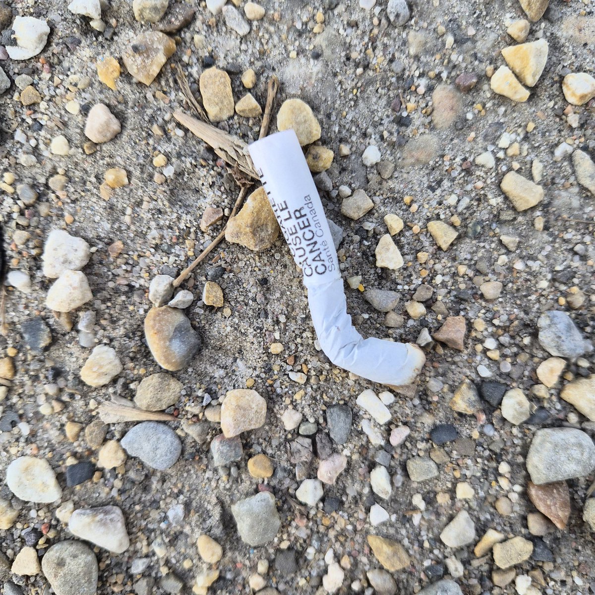 Nicholas tweet media