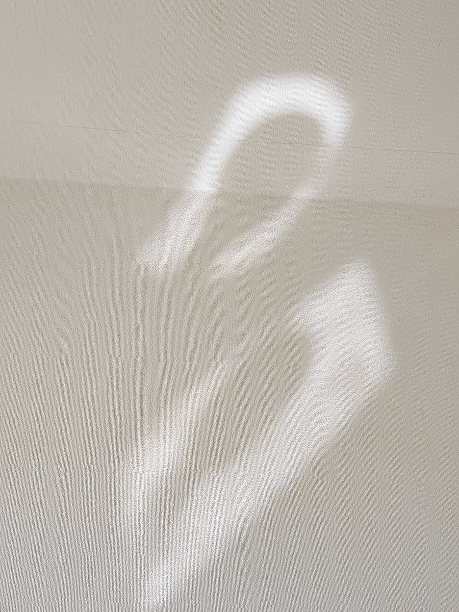 クマエ(り) tweet media