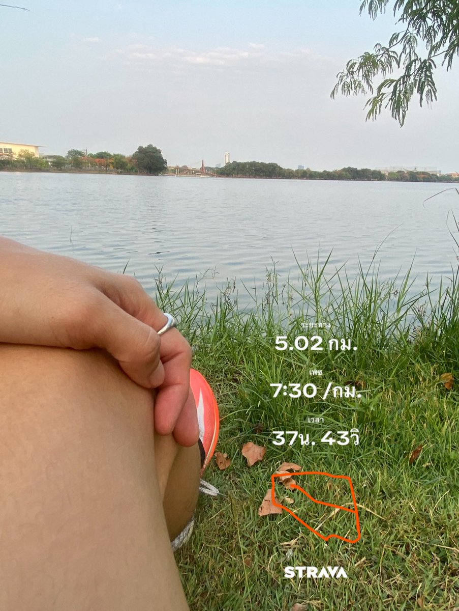 SmileLy 🙂 tweet media