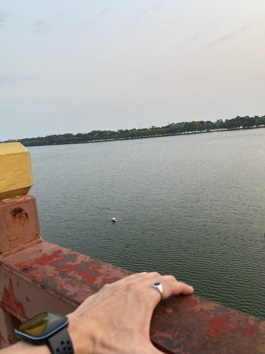 SmileLy 🙂 tweet media