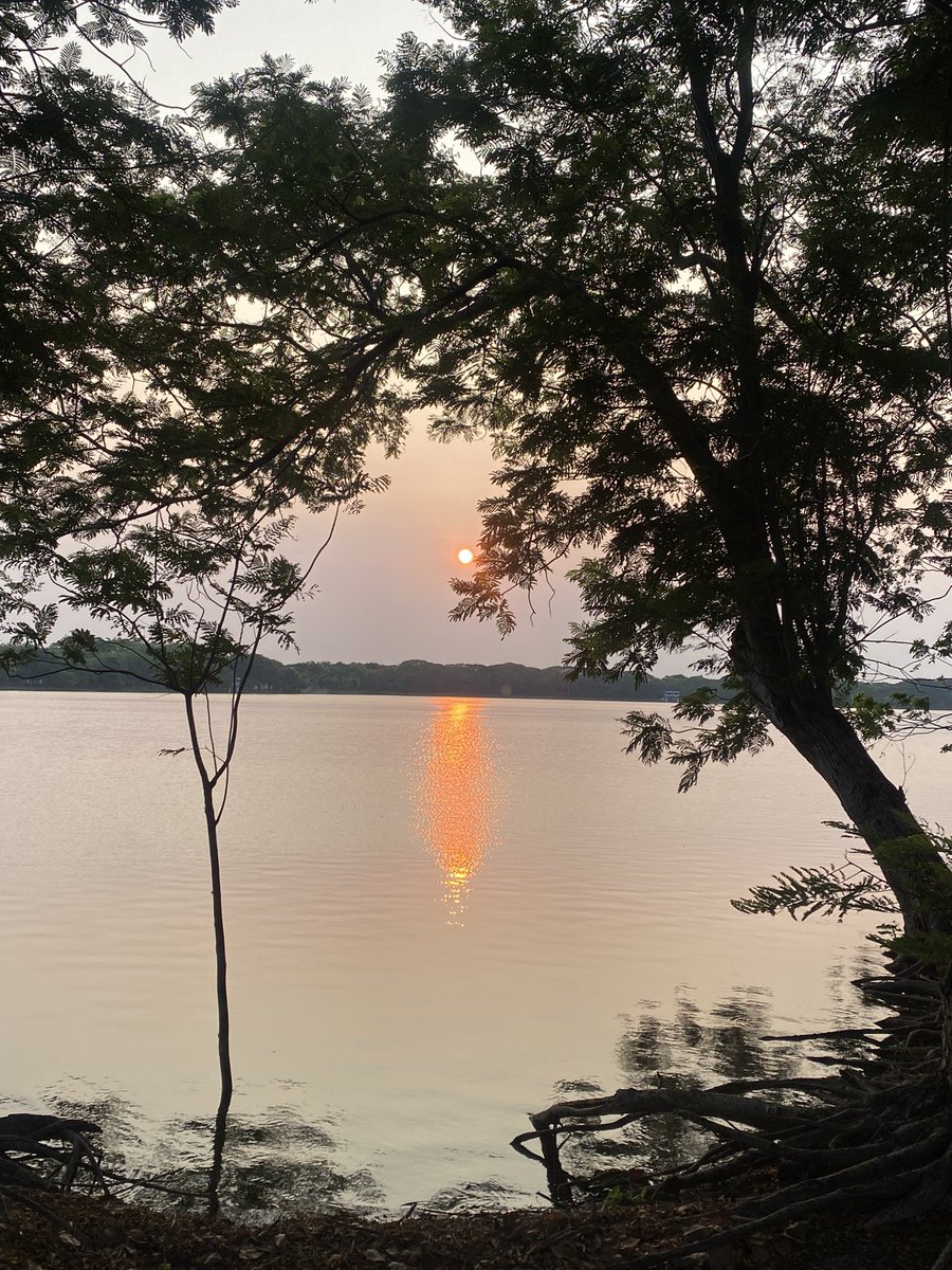 SmileLy 🙂 tweet media