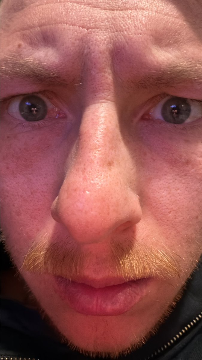 WyattzWorld tweet media