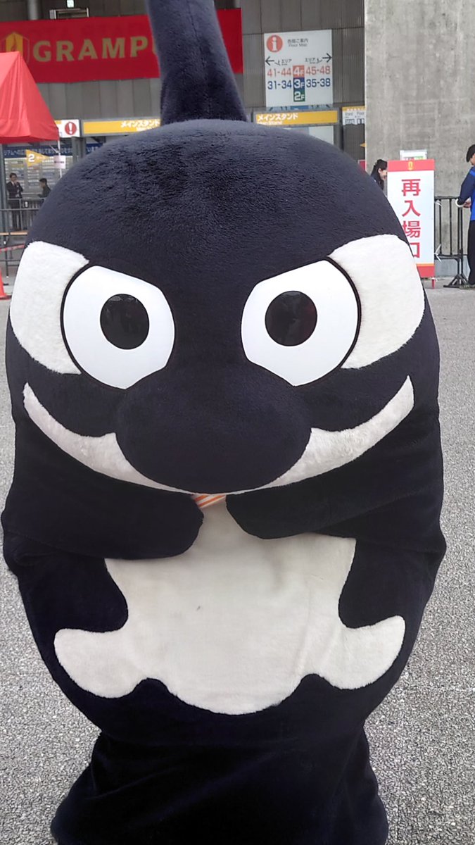 ドレン tweet media