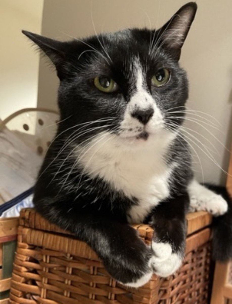 ツダケイタロウ tweet media