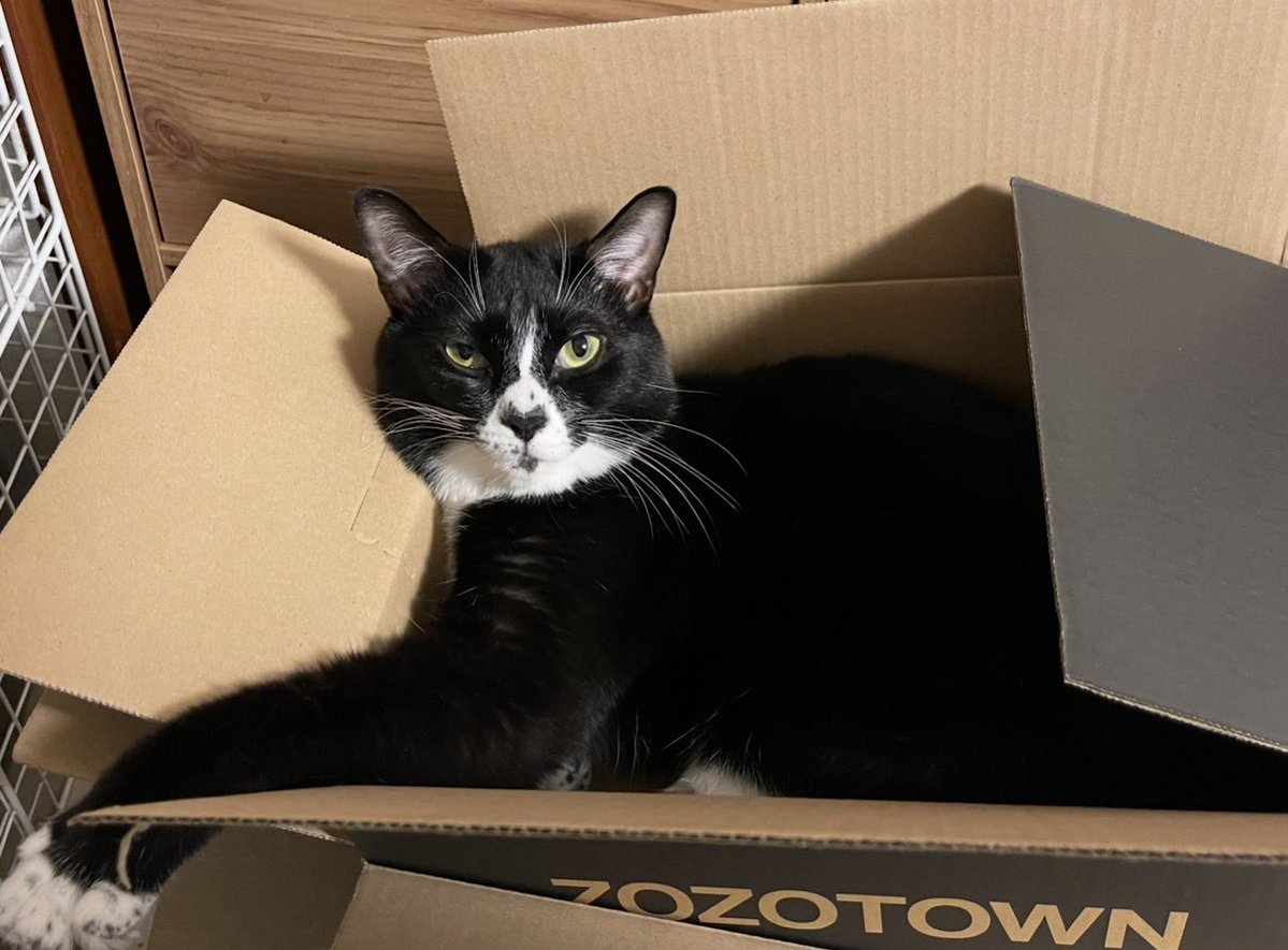 ツダケイタロウ tweet media