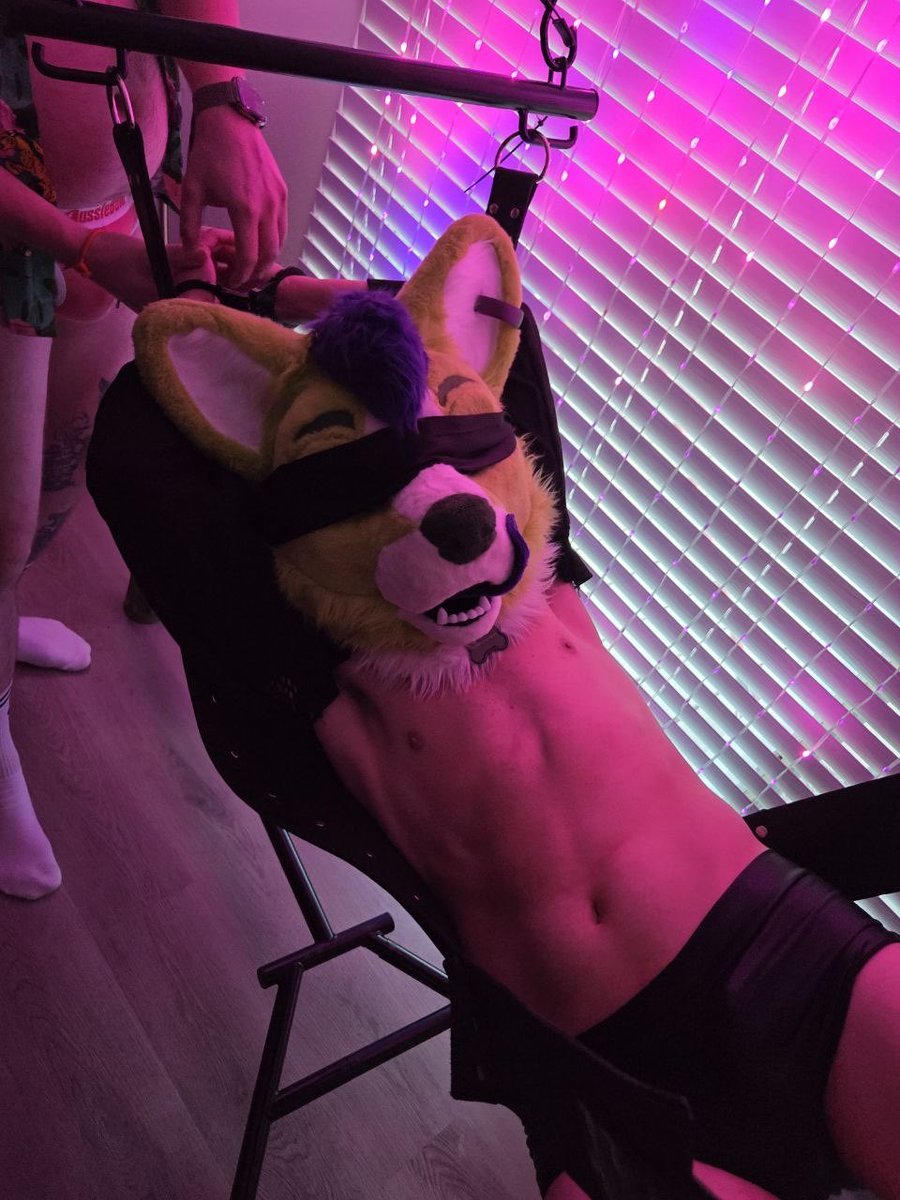 Kippy (18+) ↪️ FWA tweet media