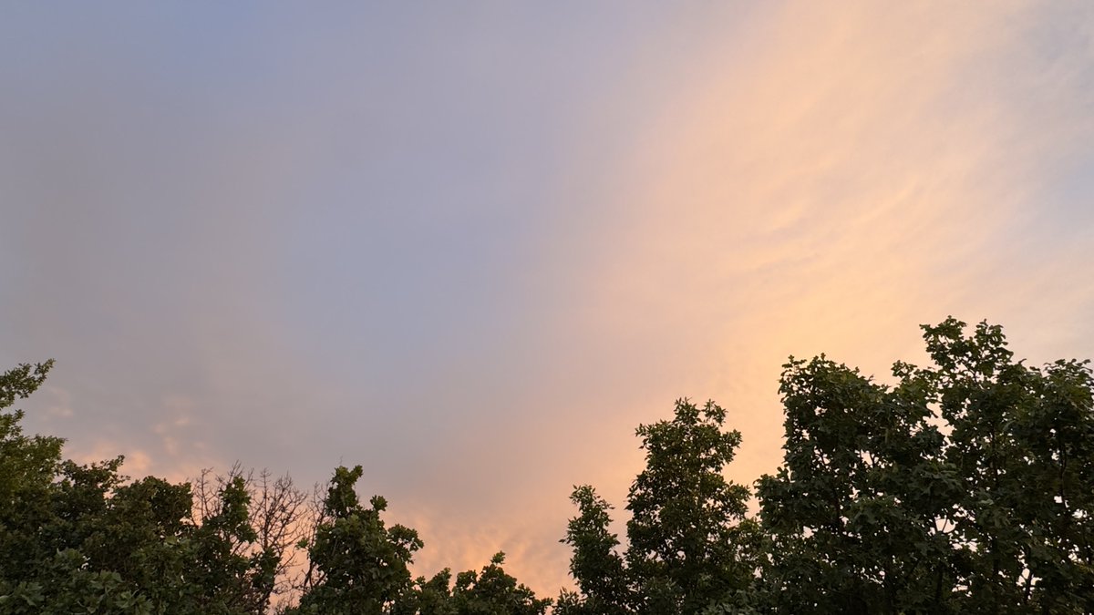 AgWriterArk's tweet image. #sunset