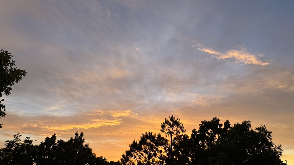 AgWriterArk's tweet image. #sunset