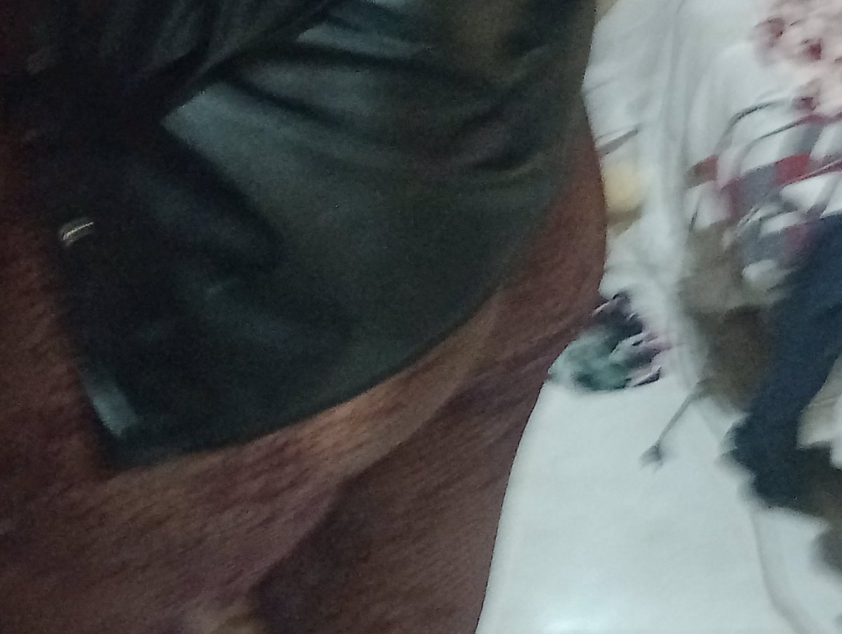 LIICKLIICK 🧨 PRIVACY 45,00 tweet media