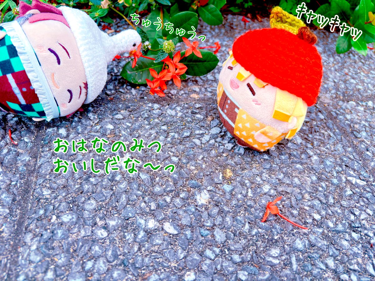 ( ˶´◜◡◝`˶ )
おはよございますっ
ふわじろとふわいつですっ
きょはぬしさんの
だいじのごようじに
いっしょきましたよ〜っ

ちょと
てつづきあるから
まっててってぇ！
おさんぽしよぉ〜(  ˶ˊ ᗜ ˋ˶  )