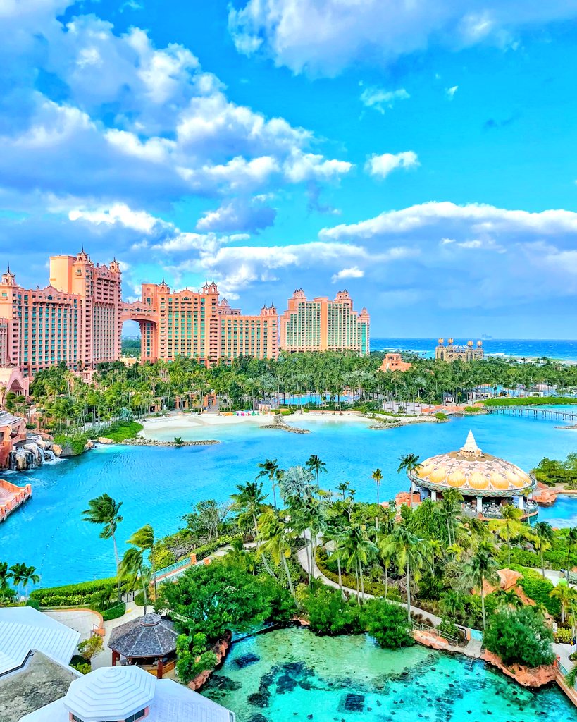 Danny Ragusa tweet media