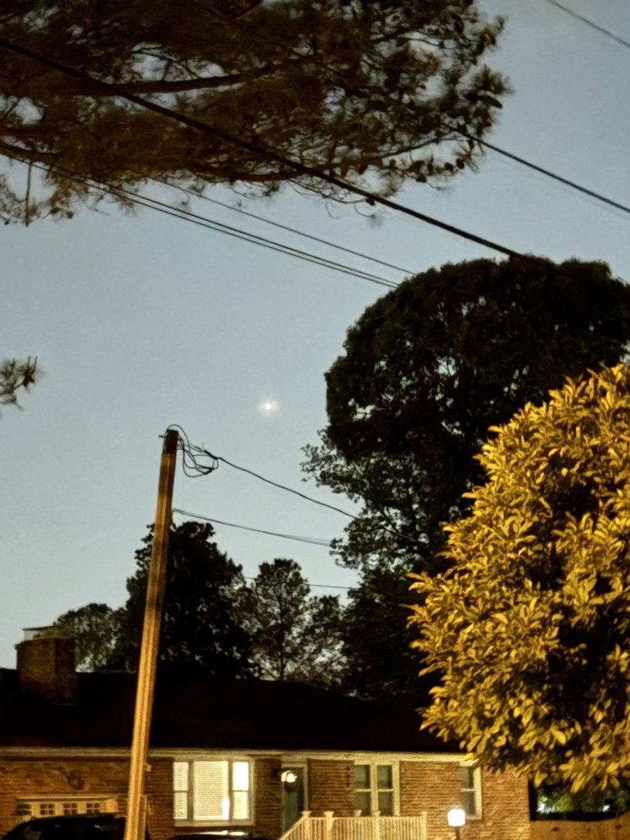 Scotty Baby™️ tweet media