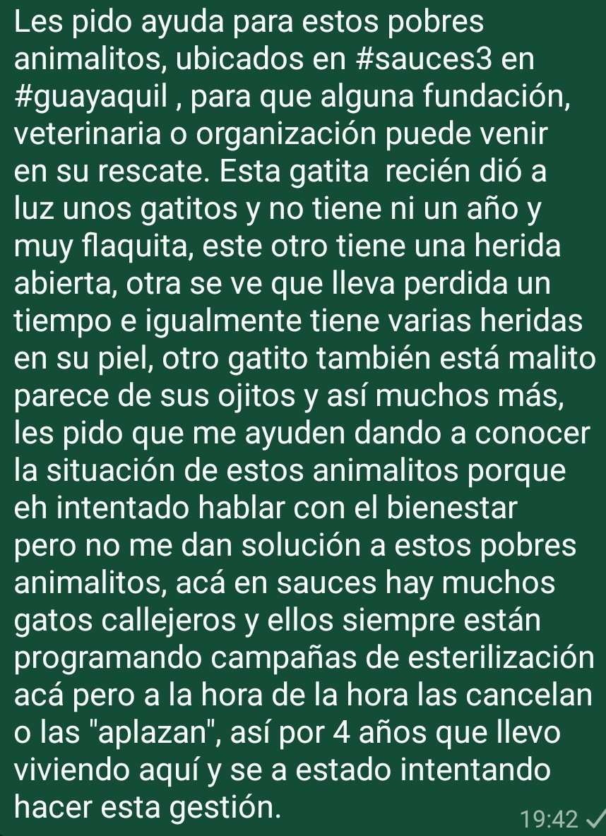 Valentina_0057's tweet photo. #sauces #sauces3 #guayaquil #ecuador @Proanimal_gye #rescateanimal #rescate #Gatitos #Gatitas #gato https://t.co/hojN646Zza