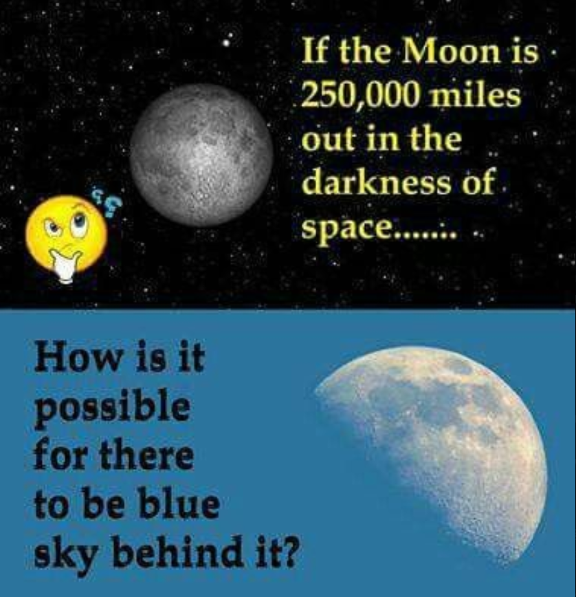 Seek I Am tweet media