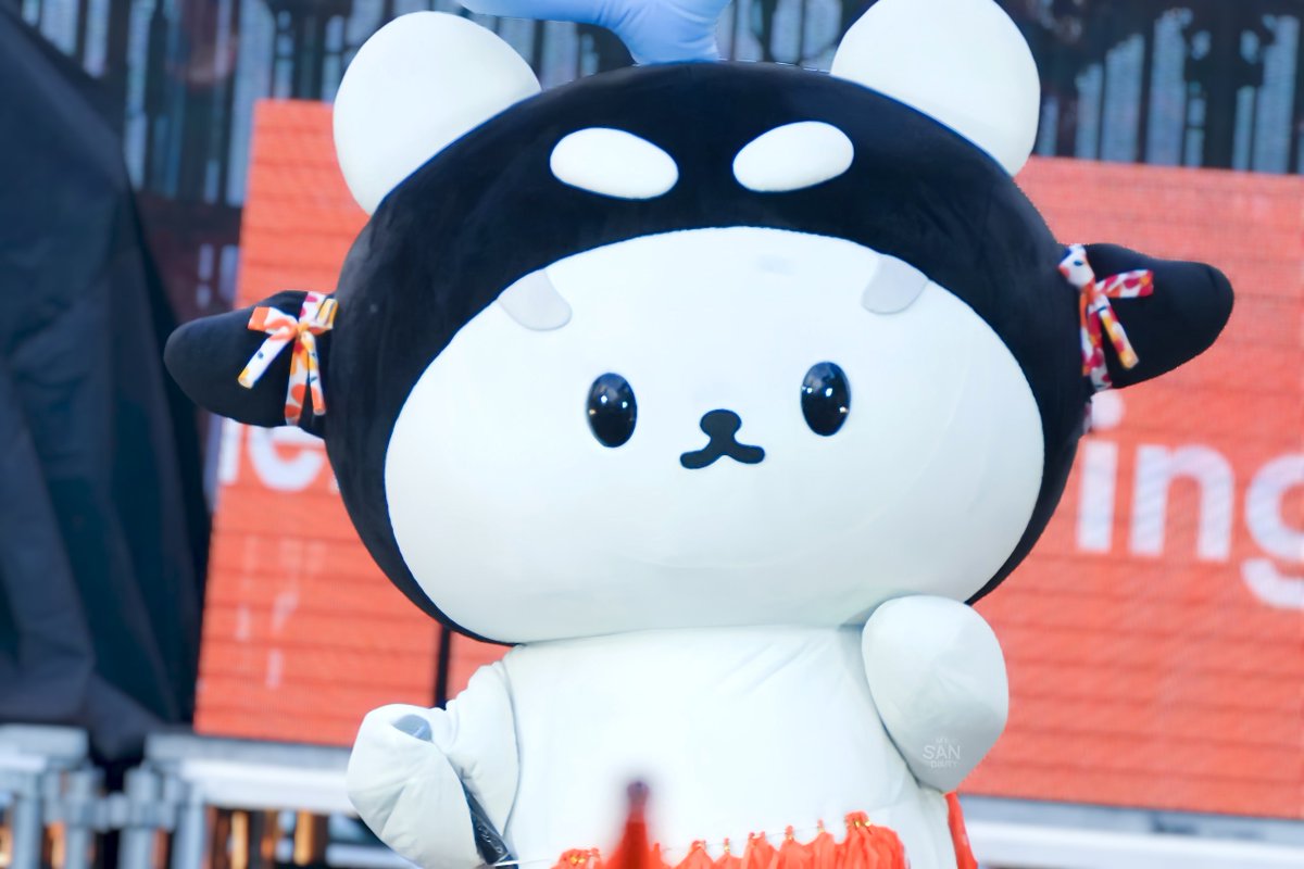 ₊°｡❆ ｍｙＳＡＮｄｉａｒｙ ❆｡°₊ tweet media