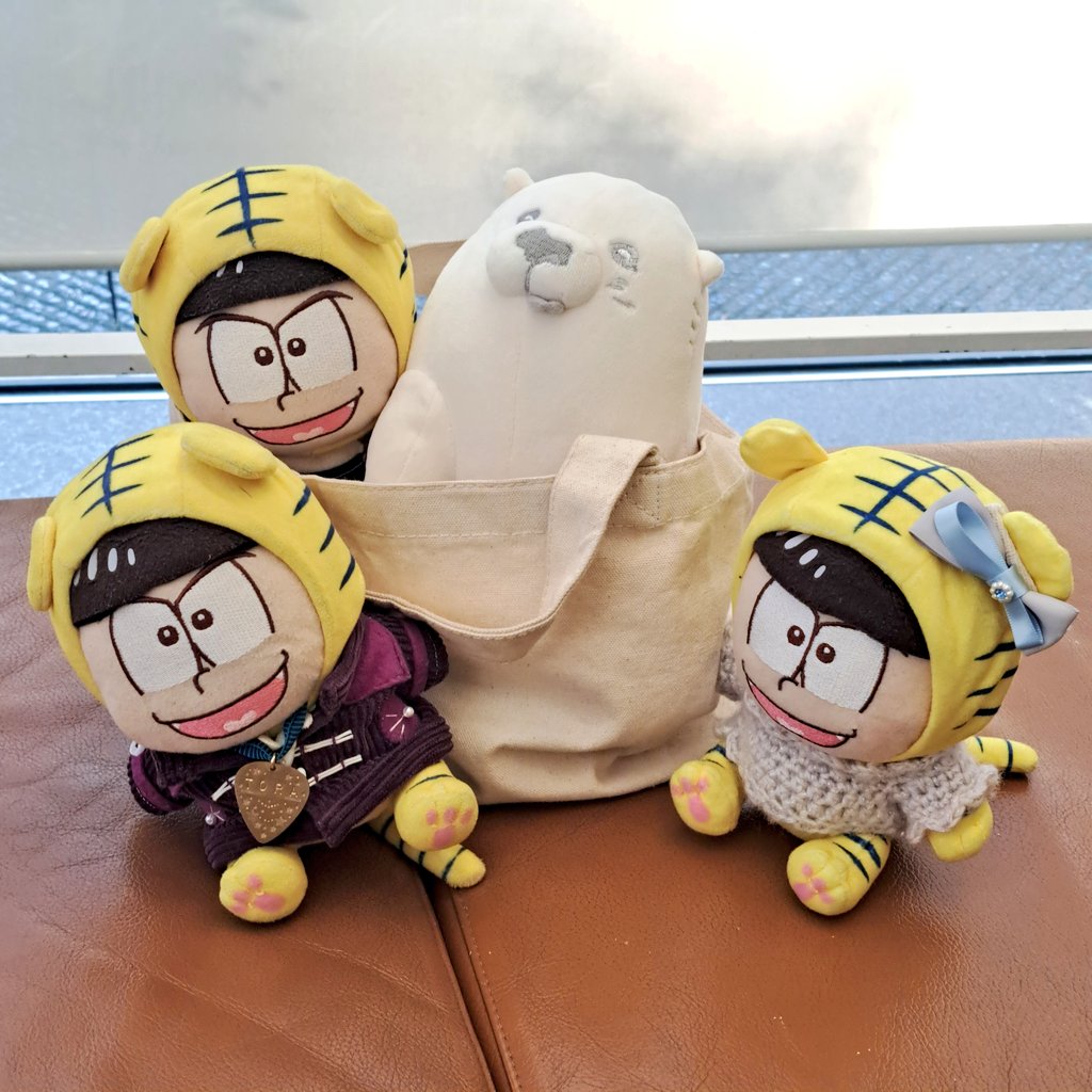 コリとツタ🐯 tweet media