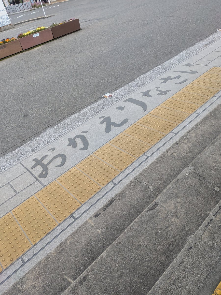 ねこねこのこねこのこねこね tweet media