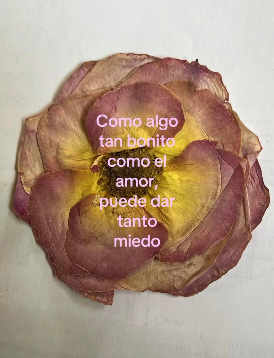 En Júpiter (@en_jupiter_) on Twitter photo 