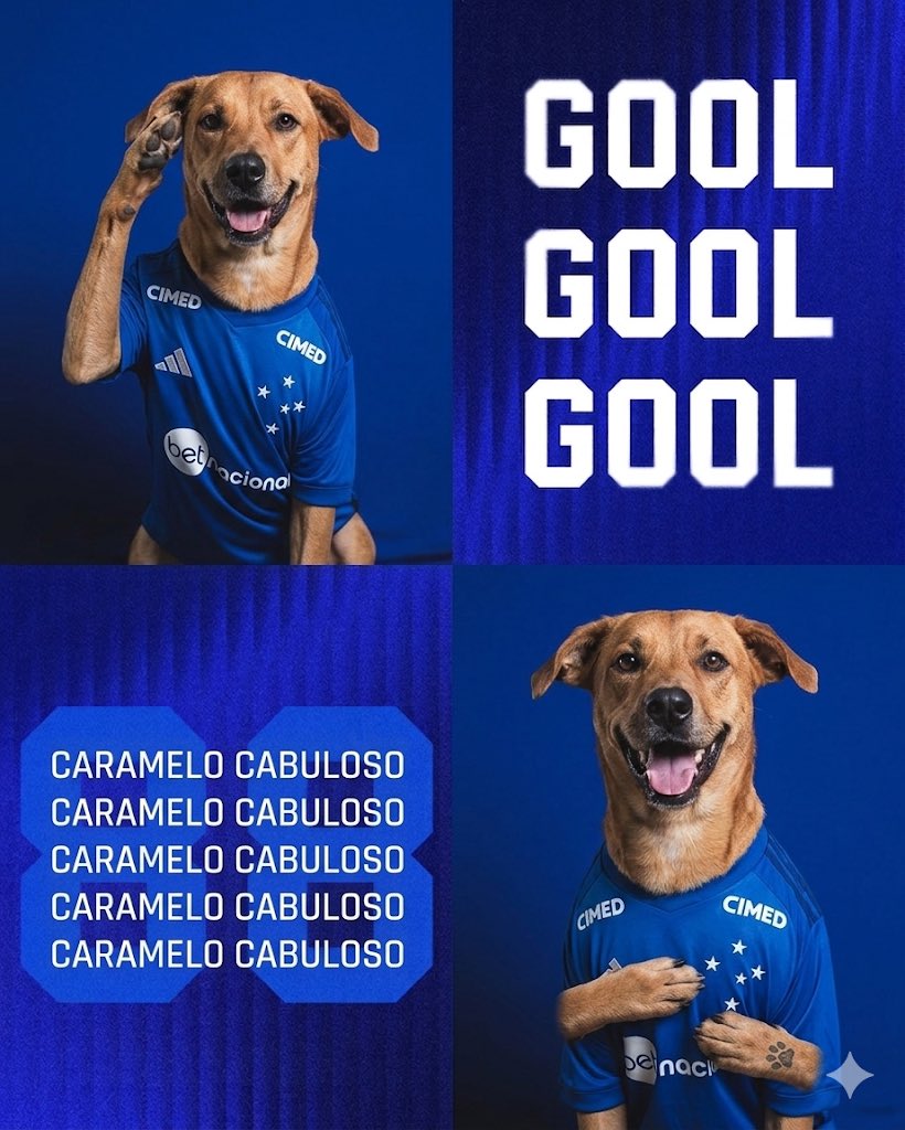 TiagoCEC's tweet photo. @Cruzeiro https://t.co/FeQ2lbR78m