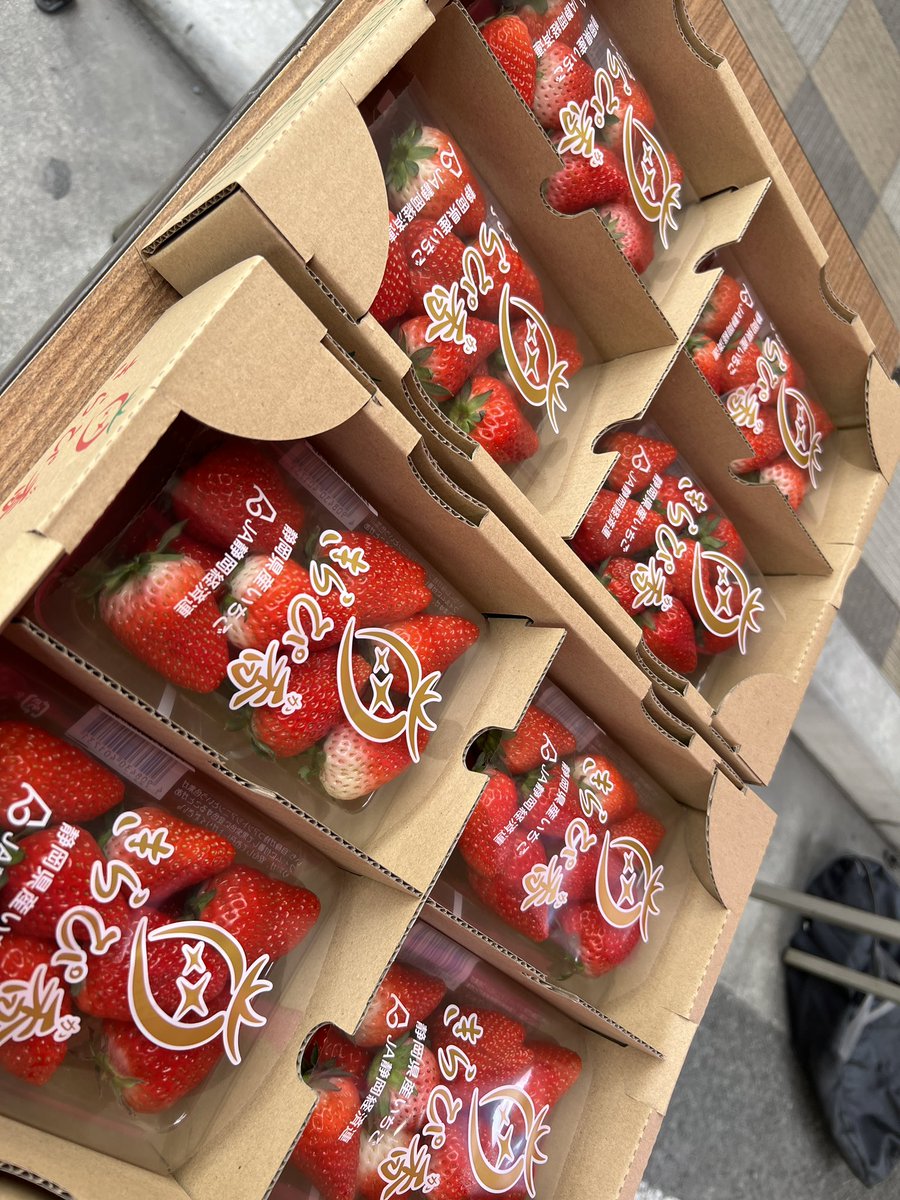 コバブン×HASE硝子コラボ静岡苺 まもなくいちご販売！