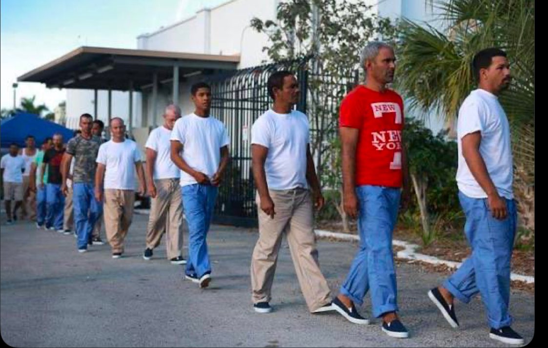 tokwauluaena2's tweet image. #RDC Les migrations forcées ou pas ont des conséquences. Pourquoi l’Afrique est noire sauf l’Afrique du Nord?
MIGRATION de la race &amp;lt;blanche&amp;gt;
Les migrants ne sont jamais l’élite des pays d’origine mais ils font souches par la violence,la peur et la TRAHISON 
Ça commence comme ça.