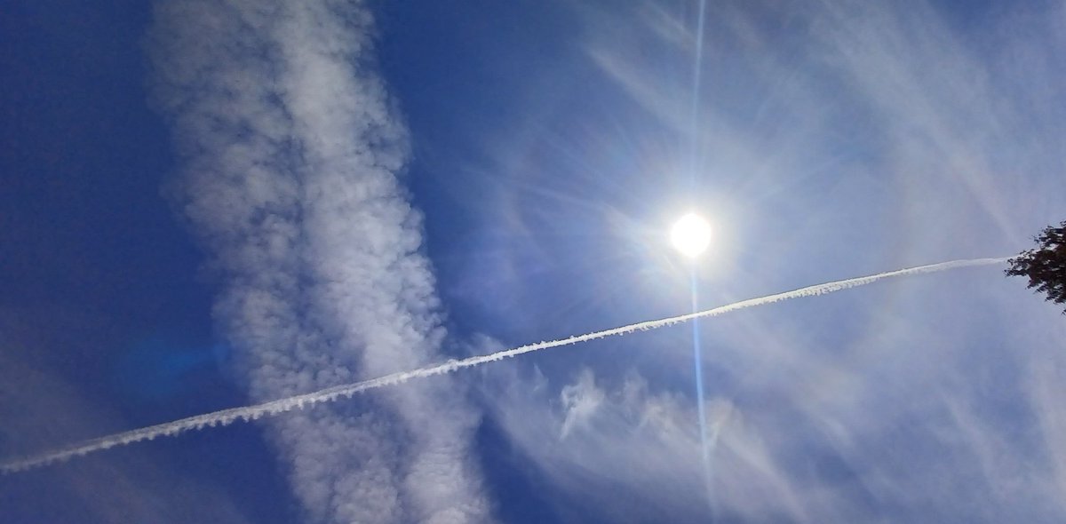 Tara Lynn 4444 tweet media