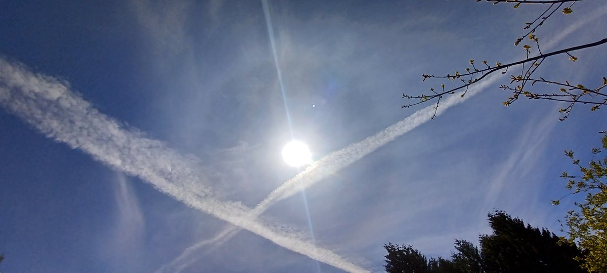 Tara Lynn 4444 tweet media