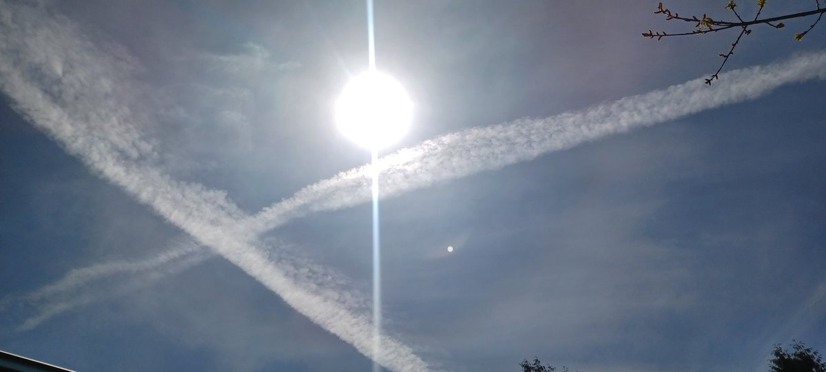 Tara Lynn 4444 tweet media