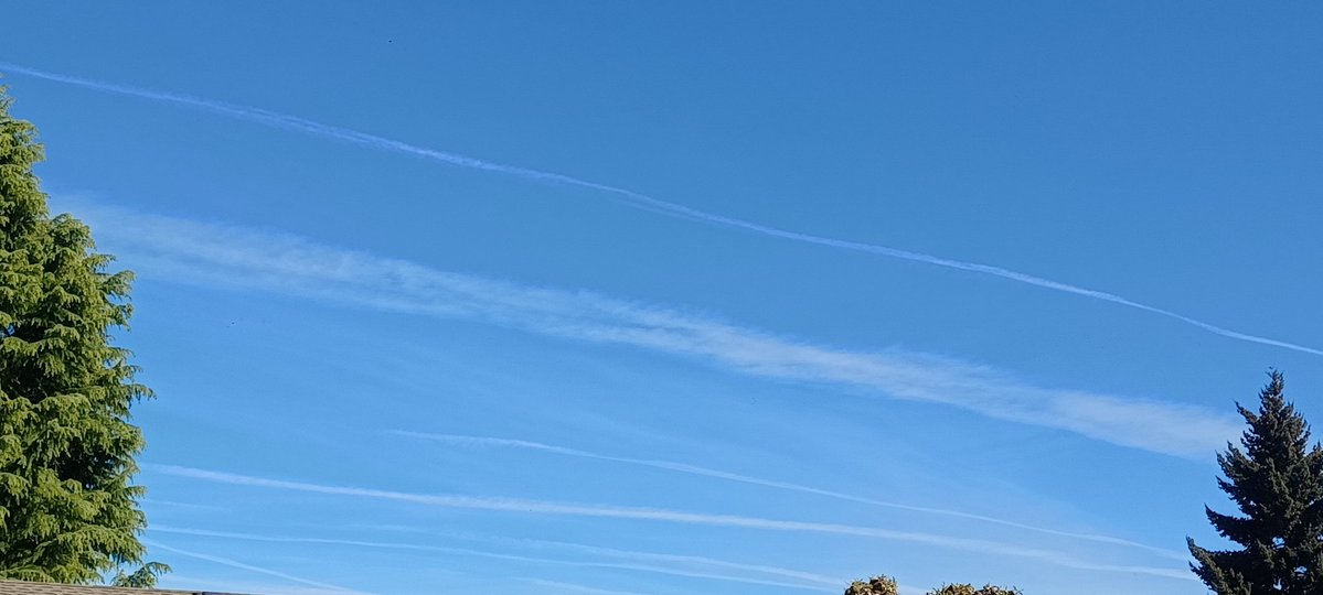 Tara Lynn 4444 tweet media