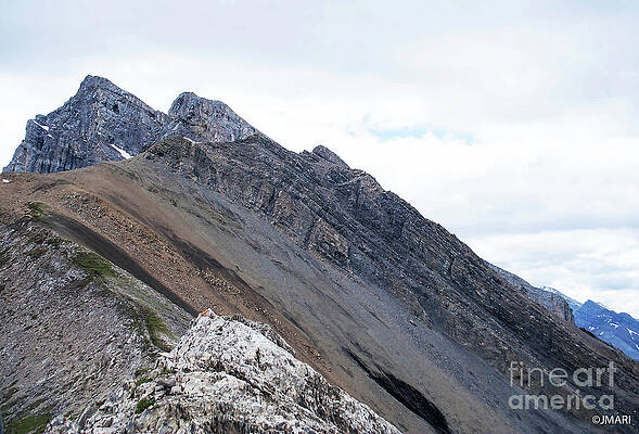 jmari99's tweet image. Ha Ling Peak #Alberta #nature
