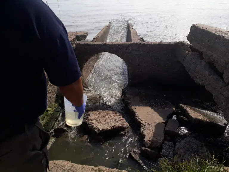 #TeAvise

Sustancia en los peces del Rio de la Plata, cerca de la costa de La Plata.

En tejidos de peces recolectados en la zona se detectaron microplásticos y rastros de fármacos de uso humano, como los hallados en las muestras de agua del efluente cloacal desde La Plata.