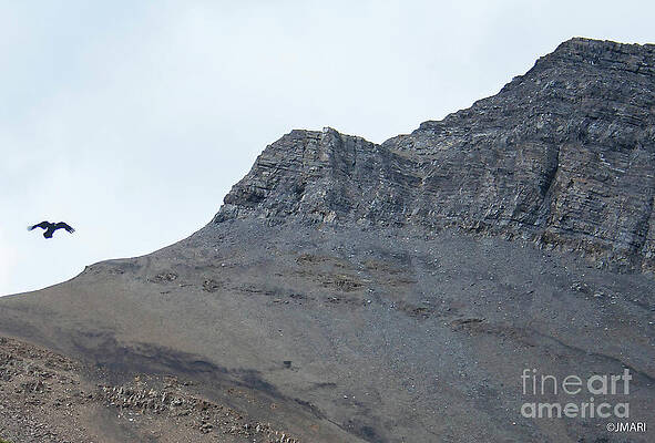 jmari99's tweet image. Balance _ #Alberta #nature