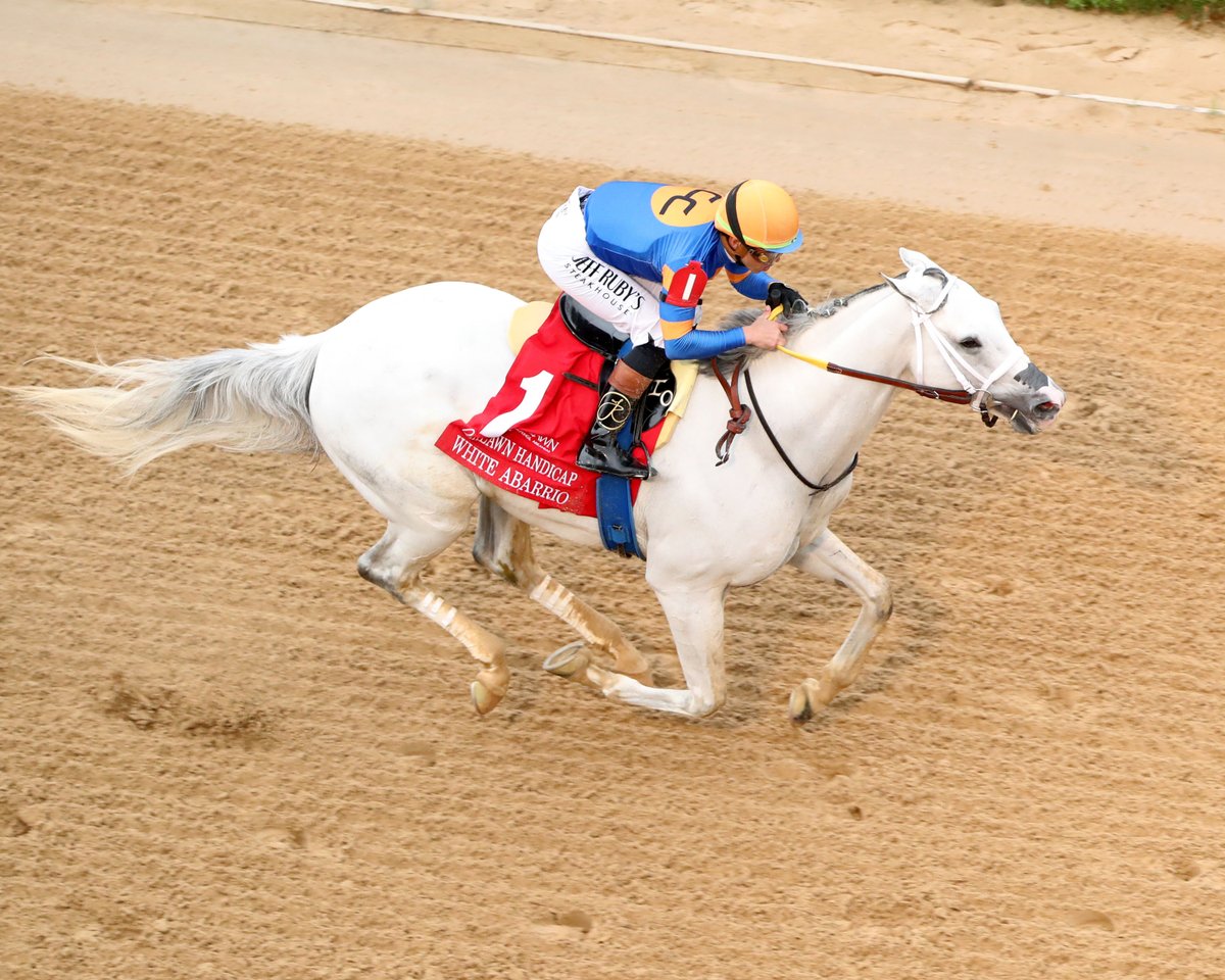 Oaklawn Hot Springs tweet media