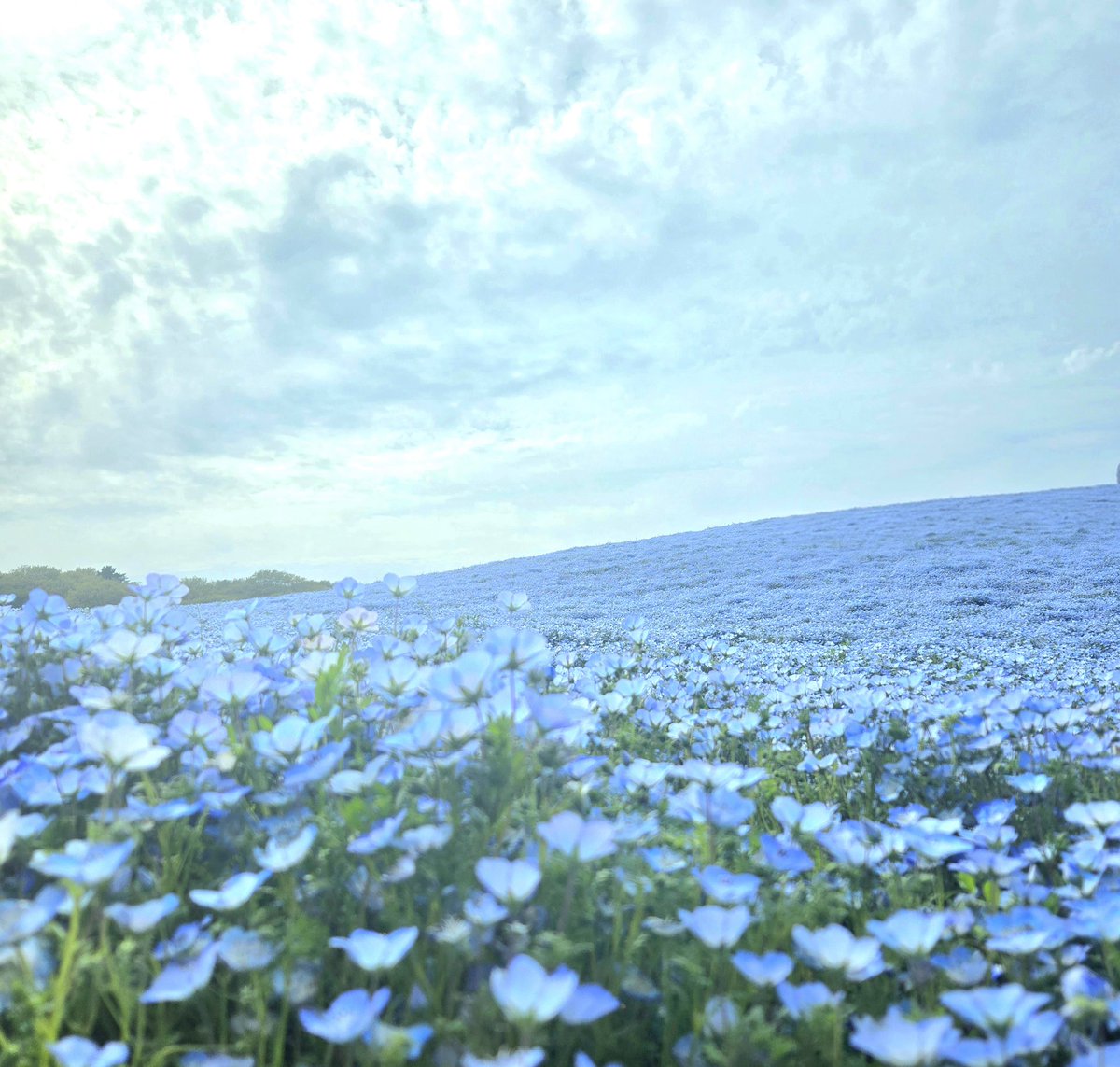 海外の方に話しかけられて撮ったもの📸(甲斐田は友人)