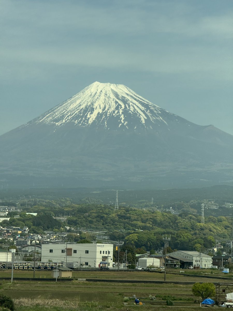 やまちゃん（初恋サイダー）👻🐨 tweet media