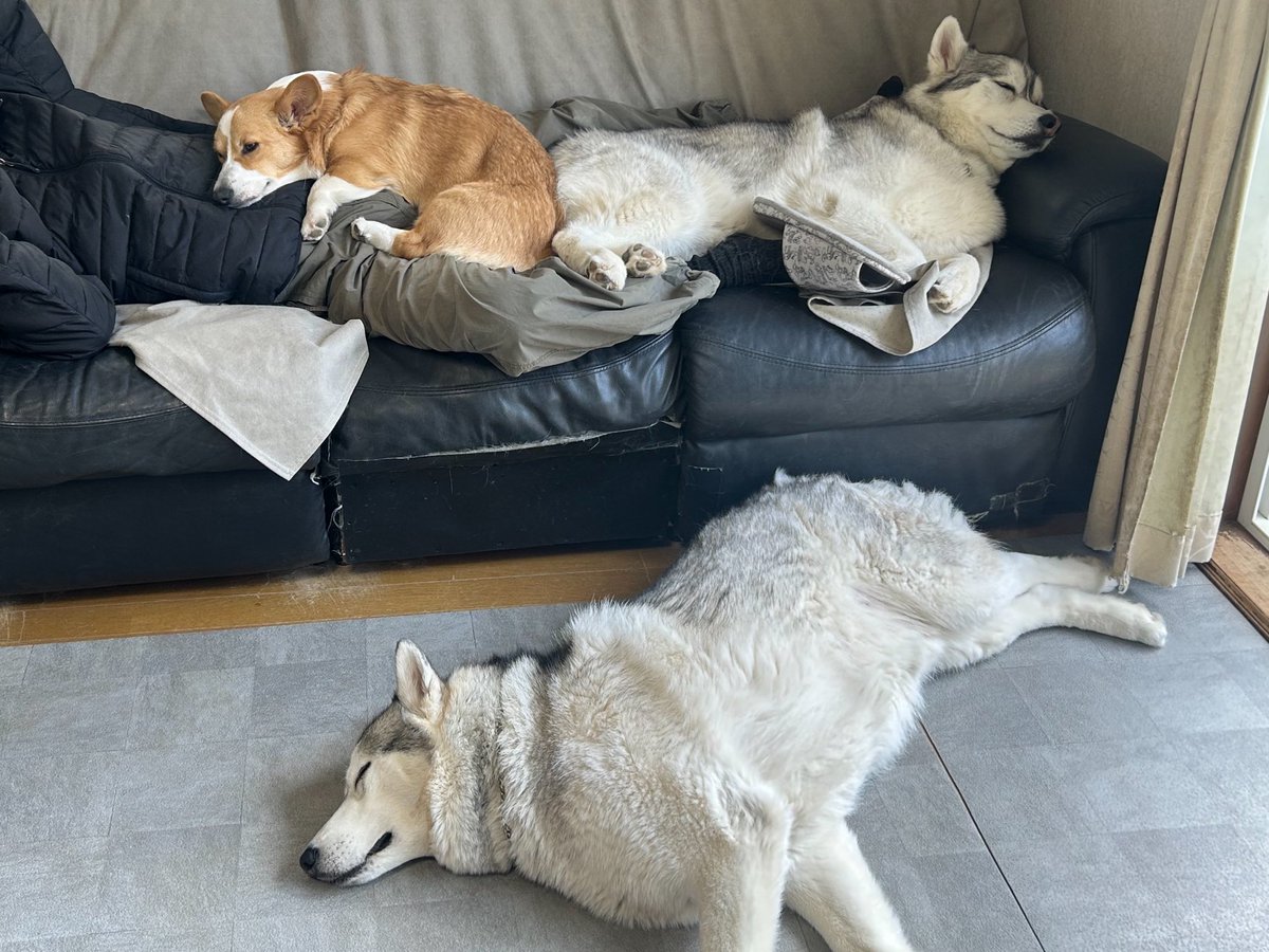 レナまま tweet media