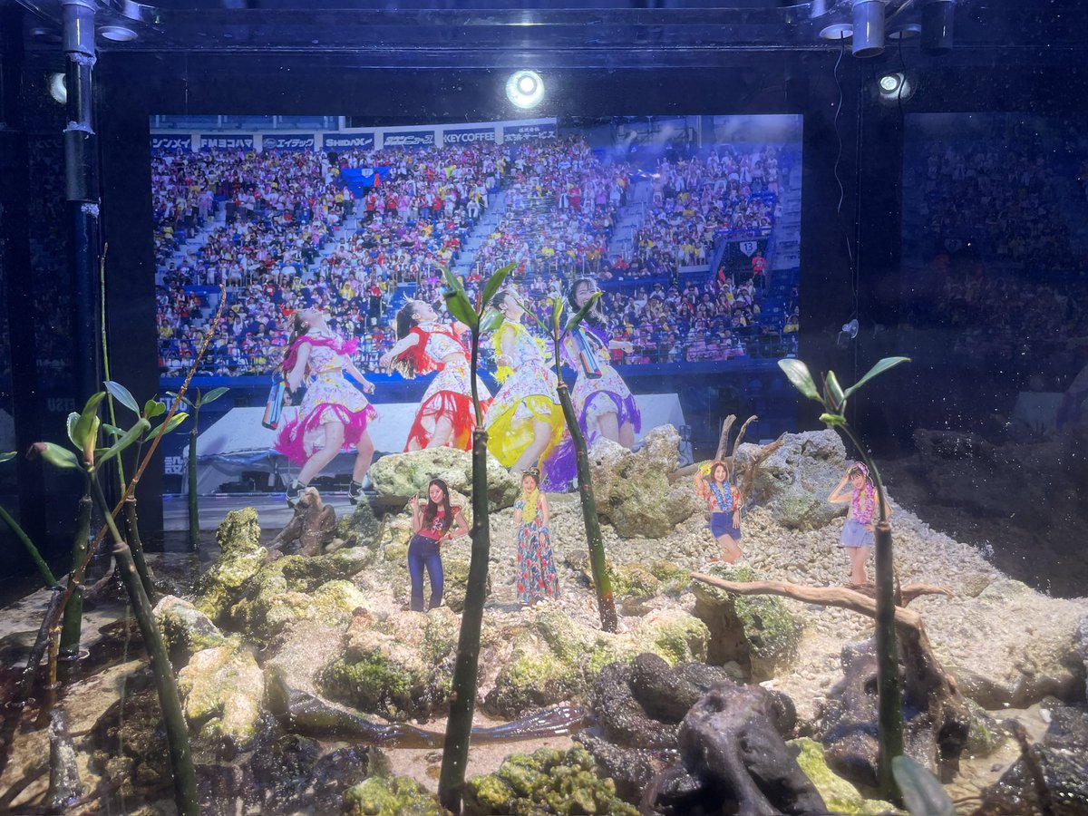 ももクロ KING PR tweet media