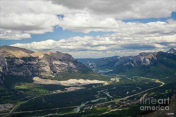 jmari99's tweet image. Fly _ #Alberta #nature