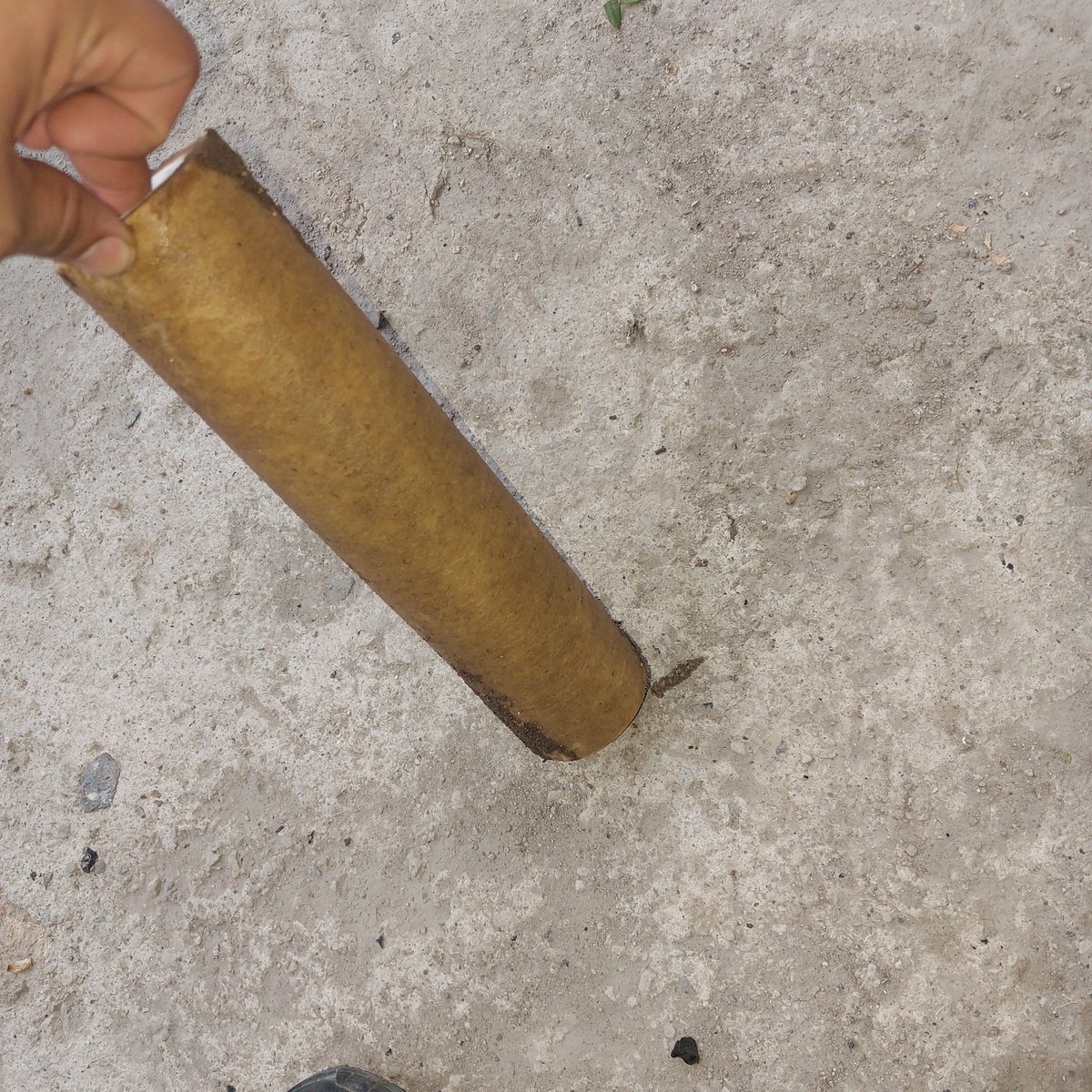 JavierZMG2000 tweet media