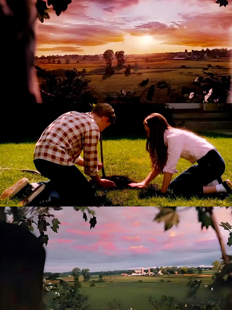 _Morgan_990's tweet image. A heart is like a tree—it needs time, care, and the right light to truly bloom. 🌳 Reminiscing on those golden moments where everything just clicked. Stay rooted, stay bright. 🧡
#Perspective #LifeLessons #Flipped #GoldenHour #HeartFelt