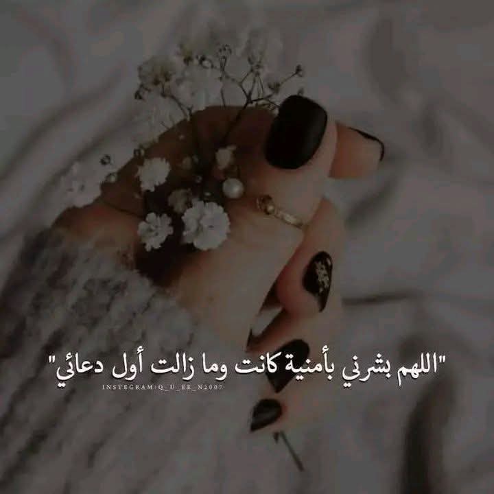 ShoSho ☕🍓💫 tweet media