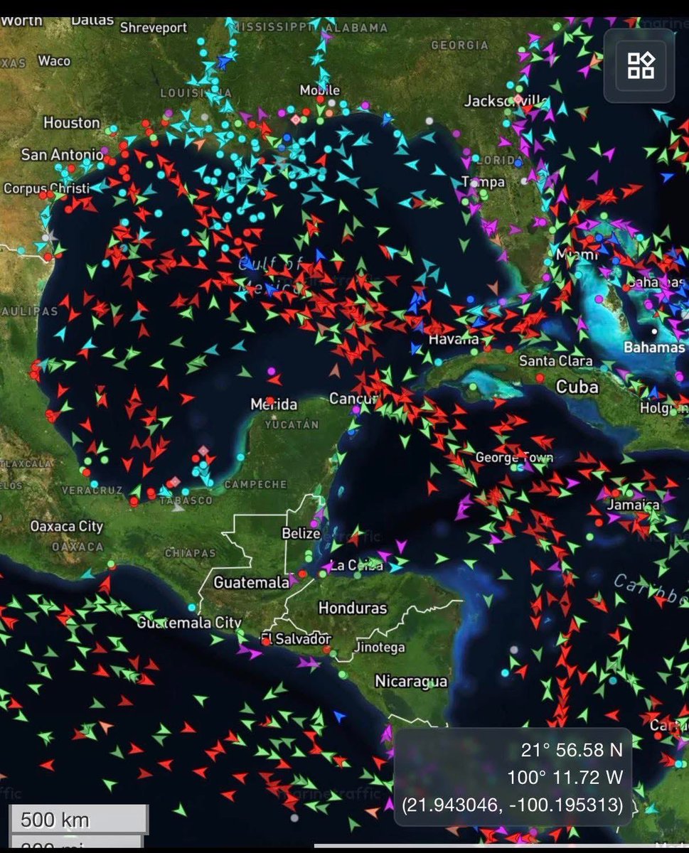 The Same Bird tweet media